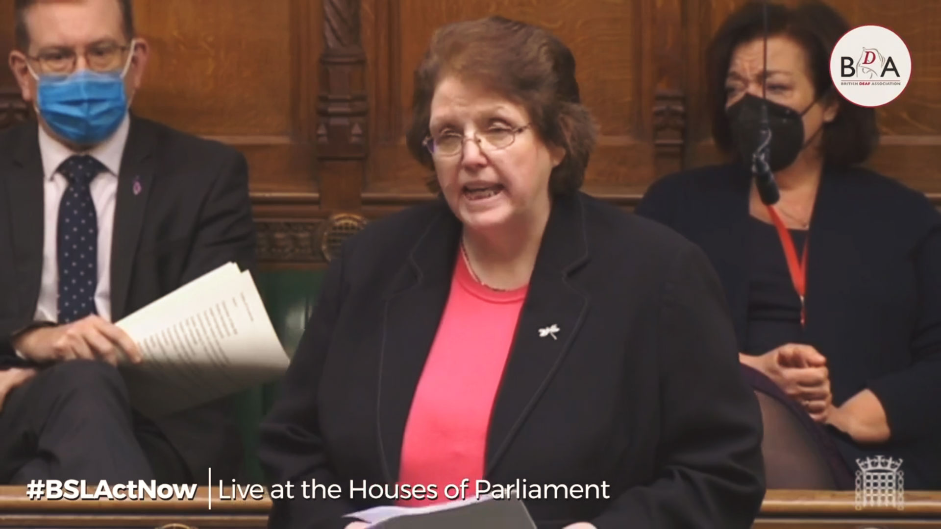 Rose-Cooper-Houses-of-Parliment-28th-Jan-2020