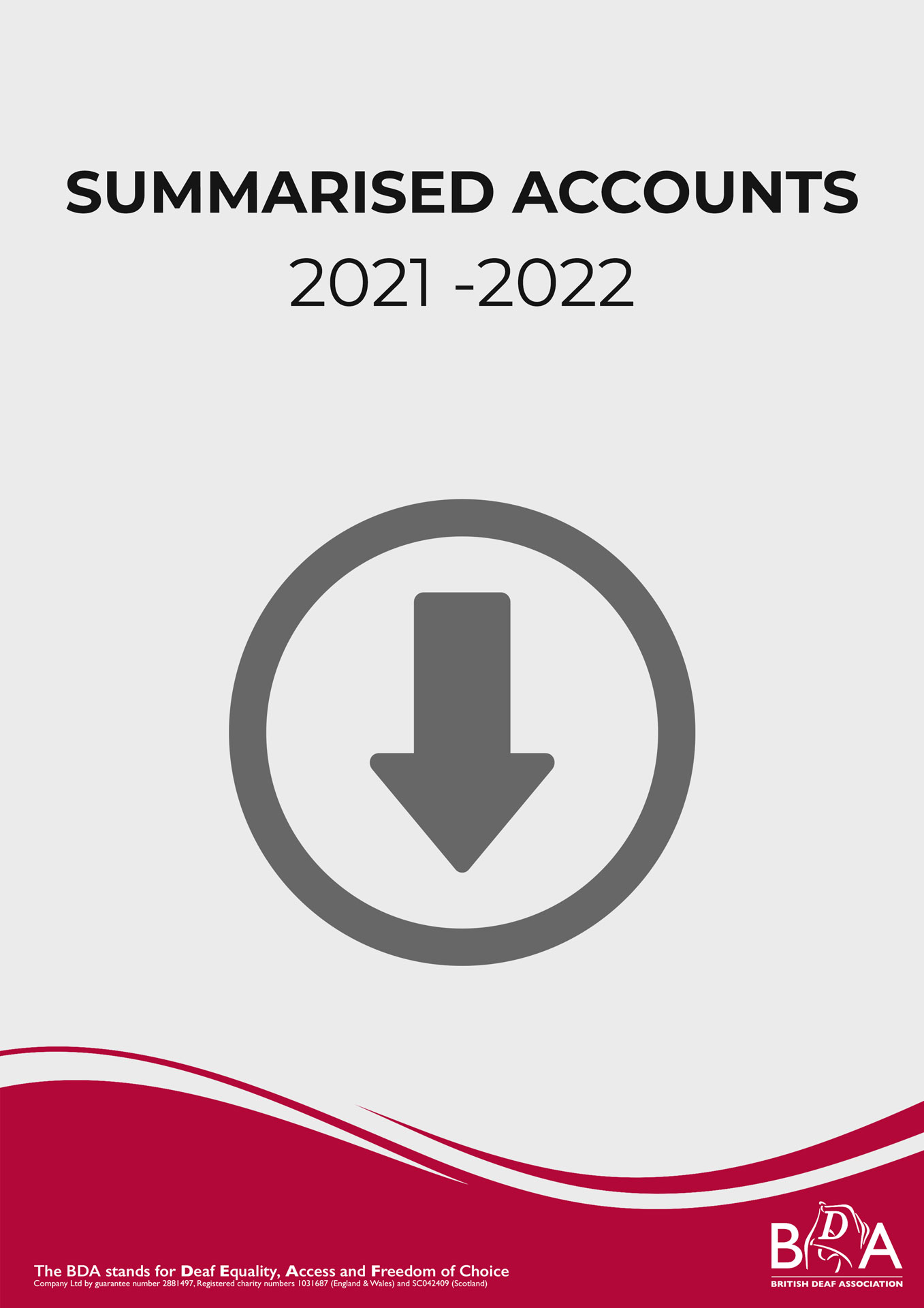 Summaried-Accountst-2022-feat-web