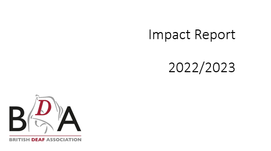Impact Report Image