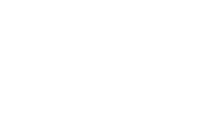 BDA Logo WHITE small